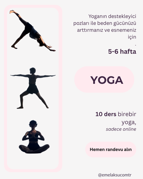 Bireysel Yoga - 10 ders